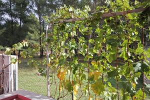 Apartments with parking space Bibinje, Zadar - 5800