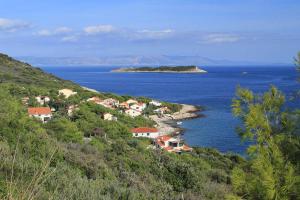 Apartments by the sea Milna, Vis - 8944