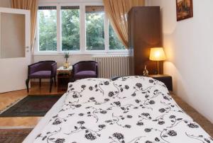 Modern Cozy Apartment