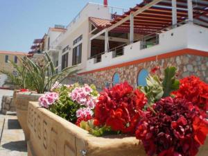 Hotels Kalimera Inn Lakonia Greece