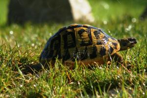 Agriturismo Su Siddaddu
