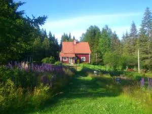 Skogslyckan - Järvsö