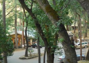 Accommodation in Midpines