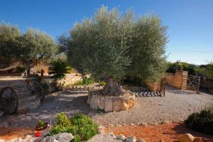 Quality Villa Es Molí