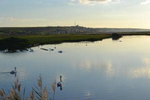 Appartements Appartement Baie de Somme : photos des chambres