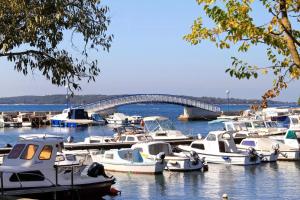 Apartments with parking space Valbandon, Fazana - 7305