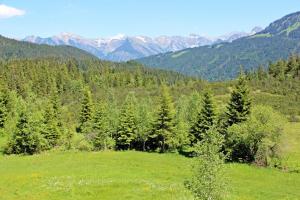 Alpengasthof Hörnlepass