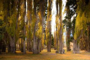 Estancia Cristina Lodge - El Calafate