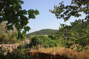 Apartment Zaglav 878a