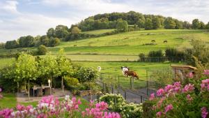 Panorama Sousberg B&B en appartementen