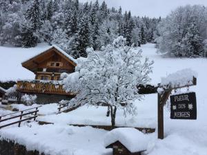 Chalet Fleur des Neiges