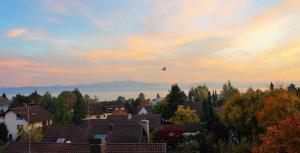 BodenSEE Apartment Friedrichshafen "DACHTERRASSE"