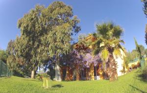 Maisons de vacances Gite des Orgues de la Sybille Eucalyptus : photos des chambres