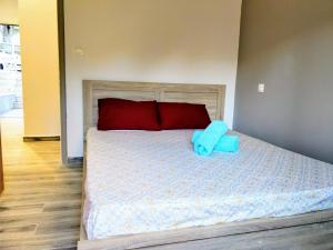 Amazing apartment 100 meters from the Old Town