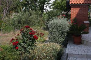 Apartment Banjol 4965b