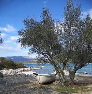 Apartments by the sea Kabli Peljesac 11695