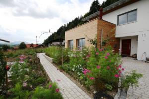 4 stern appartement Ferienwohnung Katja Hopfen am See Deutschland