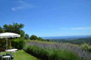 Gite les Citronniers