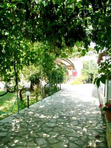 Niki Studios and Apartments Corfu Greece