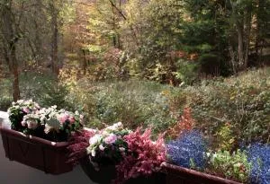 Kurhaus Apartment King Size Bett 180x200 - Ilsenburg