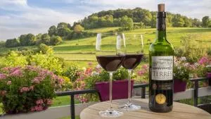 Panorama Sousberg B&B en appartementen - Schin op Geul