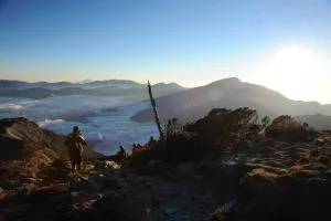 Jin Ping Homestay - Hsin-wu-lu-she