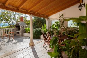 Apartment with Terrace and Grill  room in Villa Livia Apartments