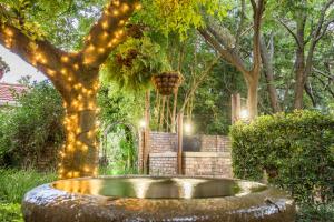 Murray Street 137 Guesthouse