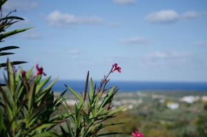 Iperion Apartment G2-2 Rethymno Greece