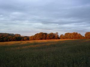 Maisons de vacances AU GRAIN D'ORGE : photos des chambres