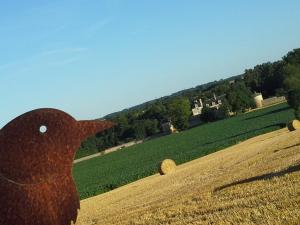 Maisons de vacances AU GRAIN D'ORGE : photos des chambres