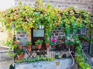 Renaissance Boutique House - 龙奇廖内