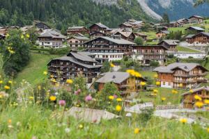 Hotels Hotel le Petit Dru : photos des chambres