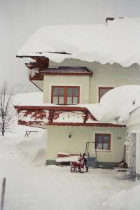 Ferienwohnung Hierzegger