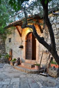Fattoria La Tana della Volpe