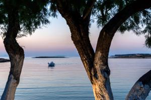 Kalypso Hotel Paros Greece