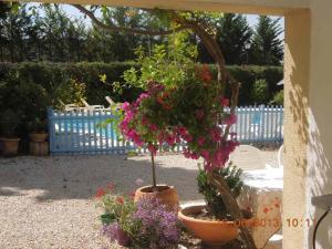 Villa - La Luberonne