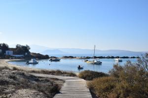 Naxian Breeze Naxos Greece