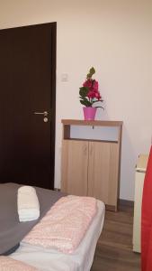 Michael Apartment with 2 Rooms near Gozsdu udvar