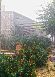 Agriturismo Le Canterie