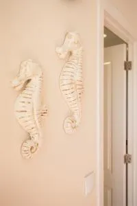 CASAL RIQUEZO T1 - Serra da Pescaria - NAZARÉ - Nazaré