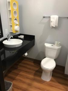 Deluxe Queen Room with Two Queen Beds - Non-Smoking room in Motel 6-Midland TX