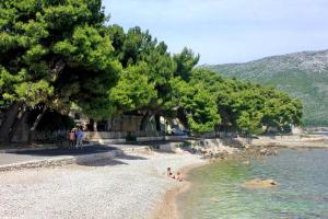 Apartments with a parking space Orebic Peljesac 10193