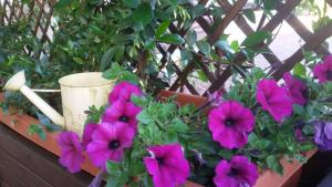 Agriturismo Sa Mendhula img46