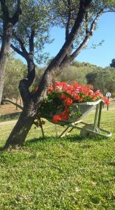 Agriturismo Sa Mendhula img50