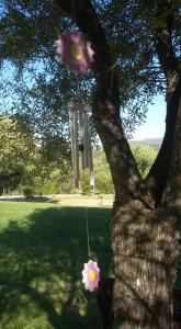 Agriturismo Sa Mendhula img54