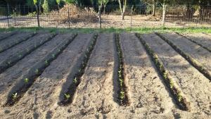 Agriturismo Sa Mendhula img77