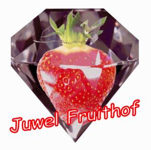 Juwel Fruithof