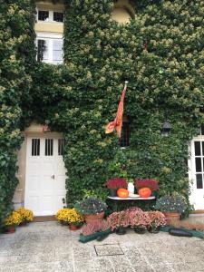 B&B / Chambres d'hotes Manoir des Cavaliers - BnB : photos des chambres