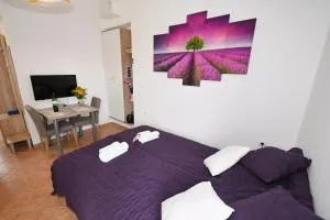 Studio apartman Kris - Hosti